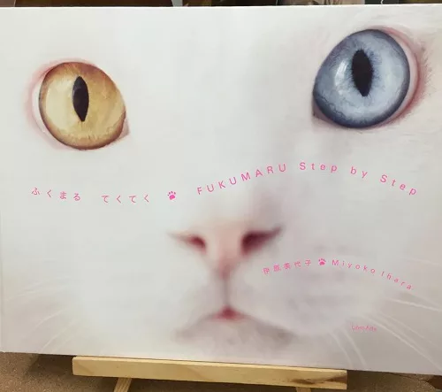 白猫ページ みさおおばあちゃんの相棒 白猫“ふくまる”の初単独写真集♪ - にゃんこ