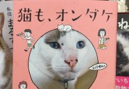 昭和です、シュールです、ジンワリ笑えます…コミック『猫も、オンダケ/和田ラヂオ』