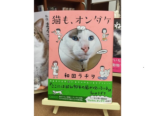 猫も、オンダケ (2)