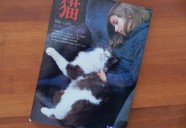 ちょっとワイルドな“昭和顔”の猫写真もいいね！
