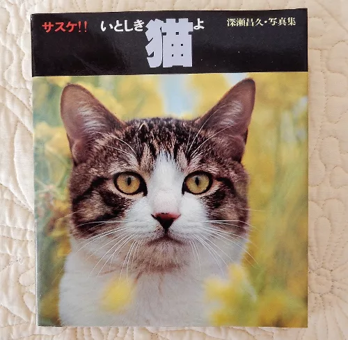 動物写真家としてのプライド 昭和50年代の猫写真集 にゃんこマガジン