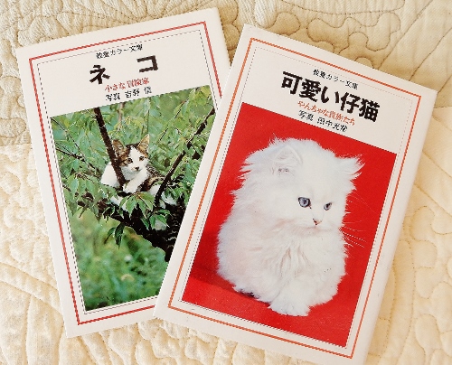 昭和猫２冊１ (500x404)