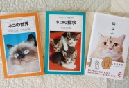 猫愛あふれる動物学者「今泉先生」の世界