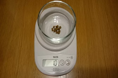 食欲の秋 ねこさんのキャットフードの量を測ってますか にゃんこ