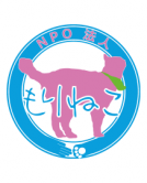 もりねこ