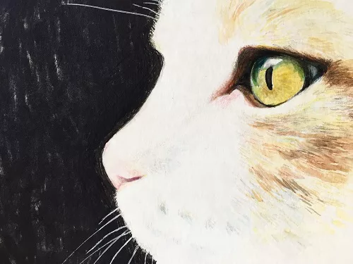 猫のまなざし～画家 吉井美穂インタビュー～ - にゃんこマガジン