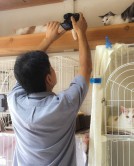 ねこたろう
