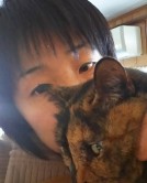 feles☆きゃったー