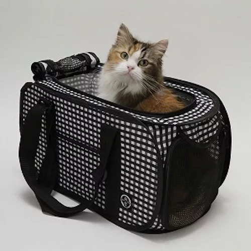 動物病院へ猫にストレスをかけずに連れて行く方法とは - にゃんこマガジン