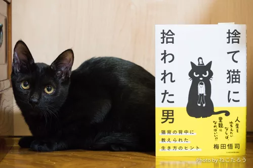 捨て猫に拾われた男 猫の里親になると何が変わるのか にゃんこマガジン