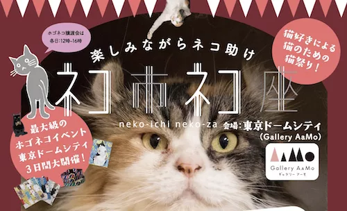 にゃんこ堂×ねこたろう、ネコ市ネコ座で『猫と家族の写真展