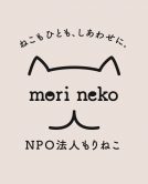 もりねこ