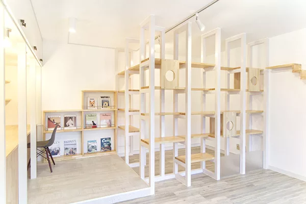 猫連れ出勤 という働き方改革 猫専用ルーム付きペットフレンドリーオフィス完成 にゃんこマガジン