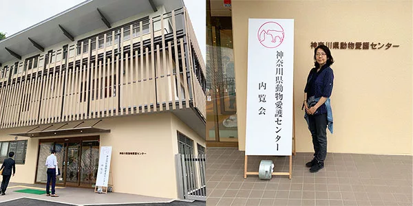6月オープン 新 神奈川県動物愛護センター内覧会レポート 猫と暮らし 猫を創る にゃんこマガジン