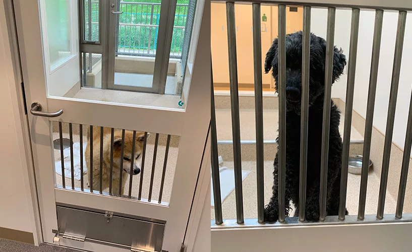 6月オープン 新 神奈川県動物愛護センター内覧会レポート 猫と暮らし 猫を創る にゃんこマガジン